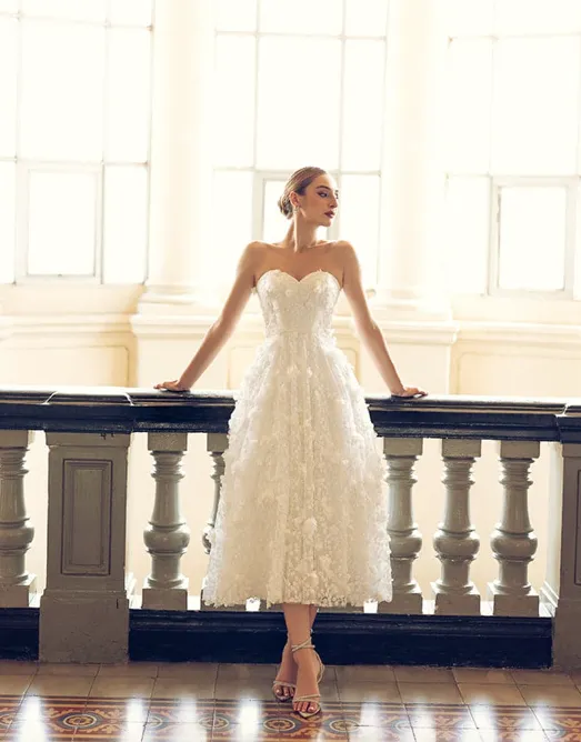 Adela Appliqué Midi Dress by Bariano - RENTAL