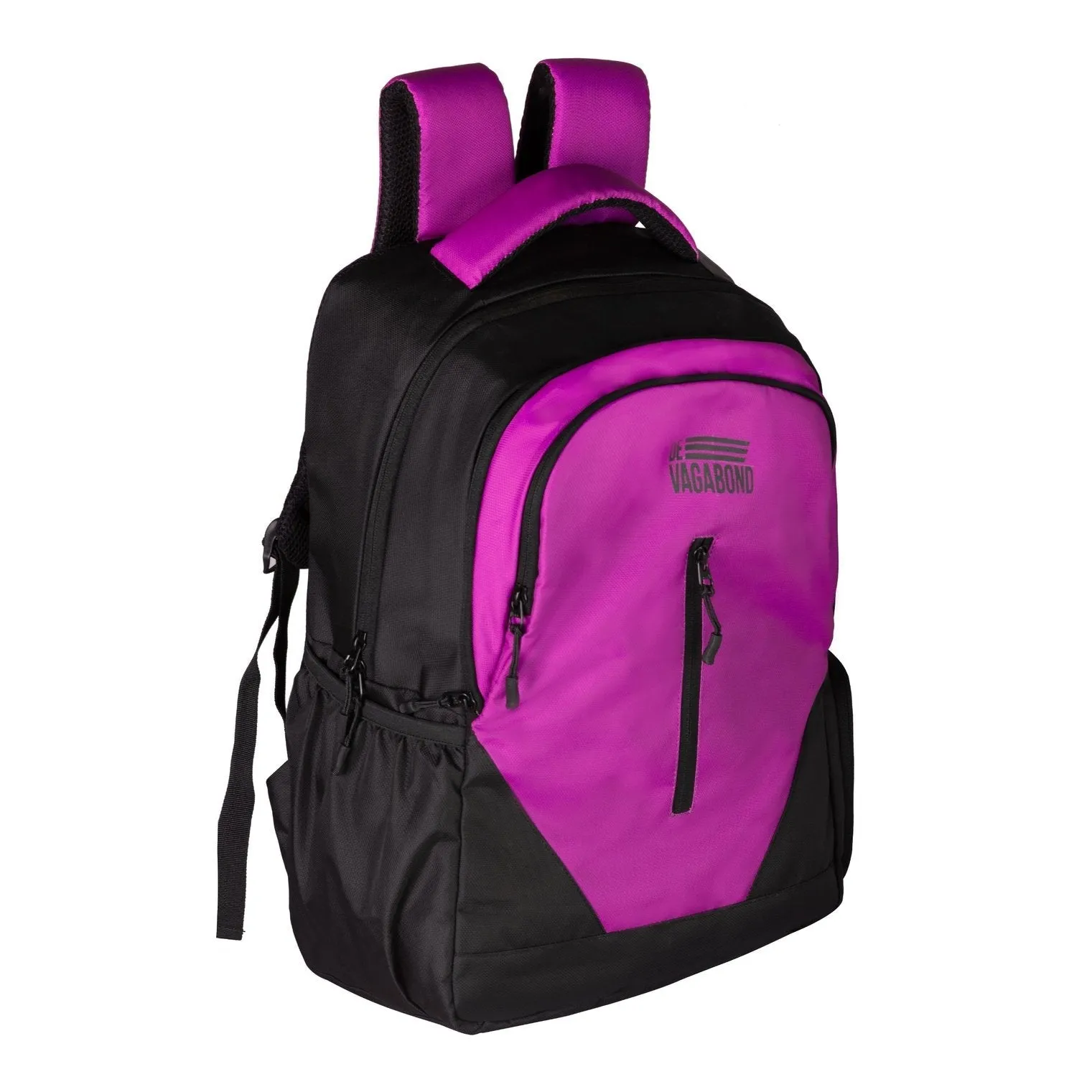 Argok Purple