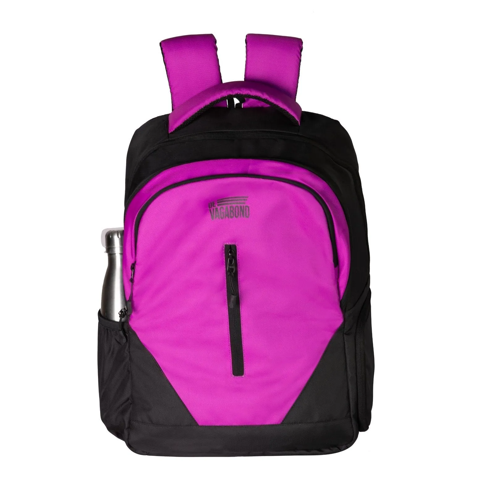 Argok Purple
