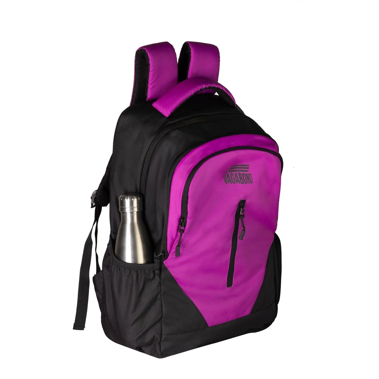 Argok Purple