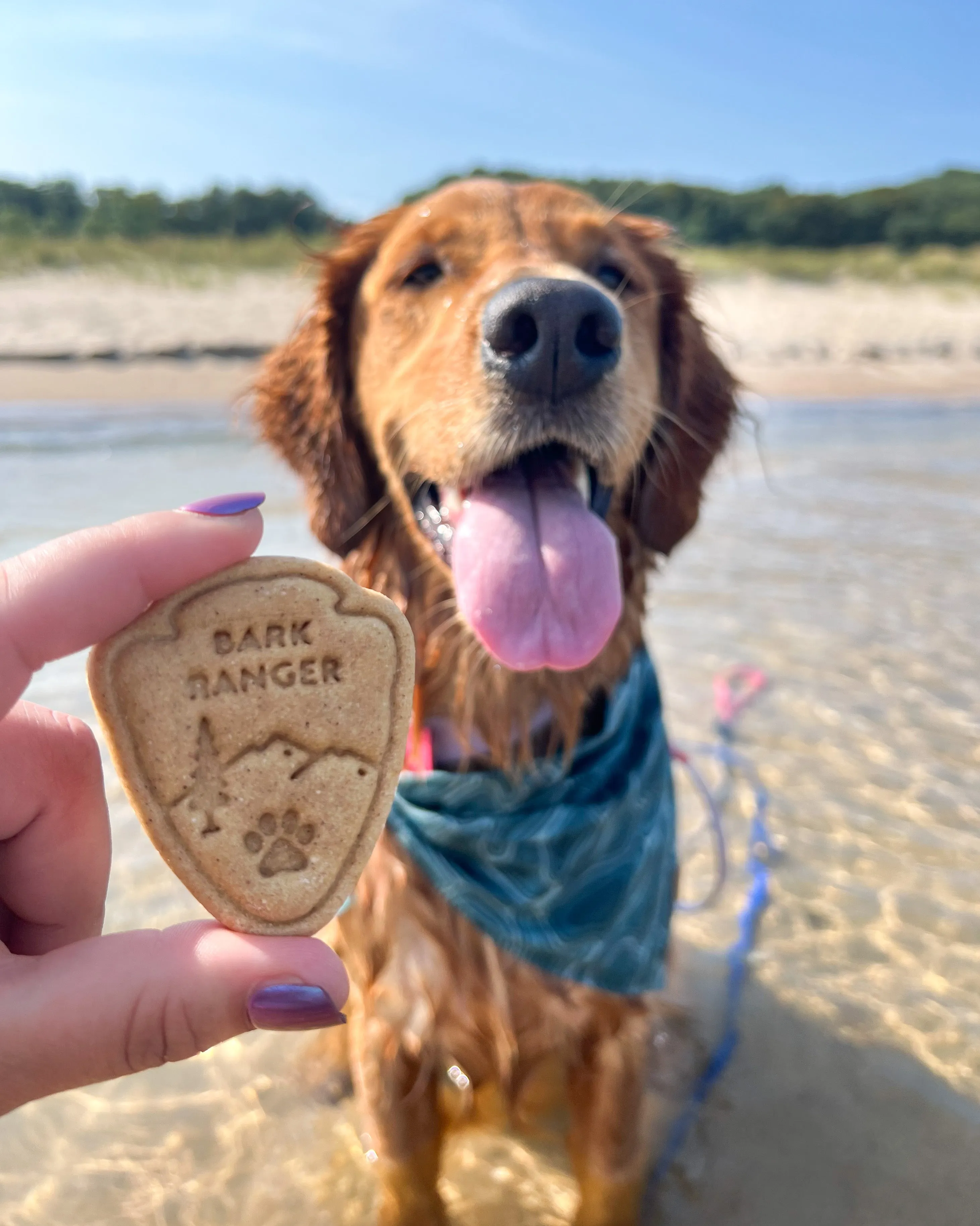 Arrowhead Park Sign "Bark Ranger" Dog Cookie Cutter