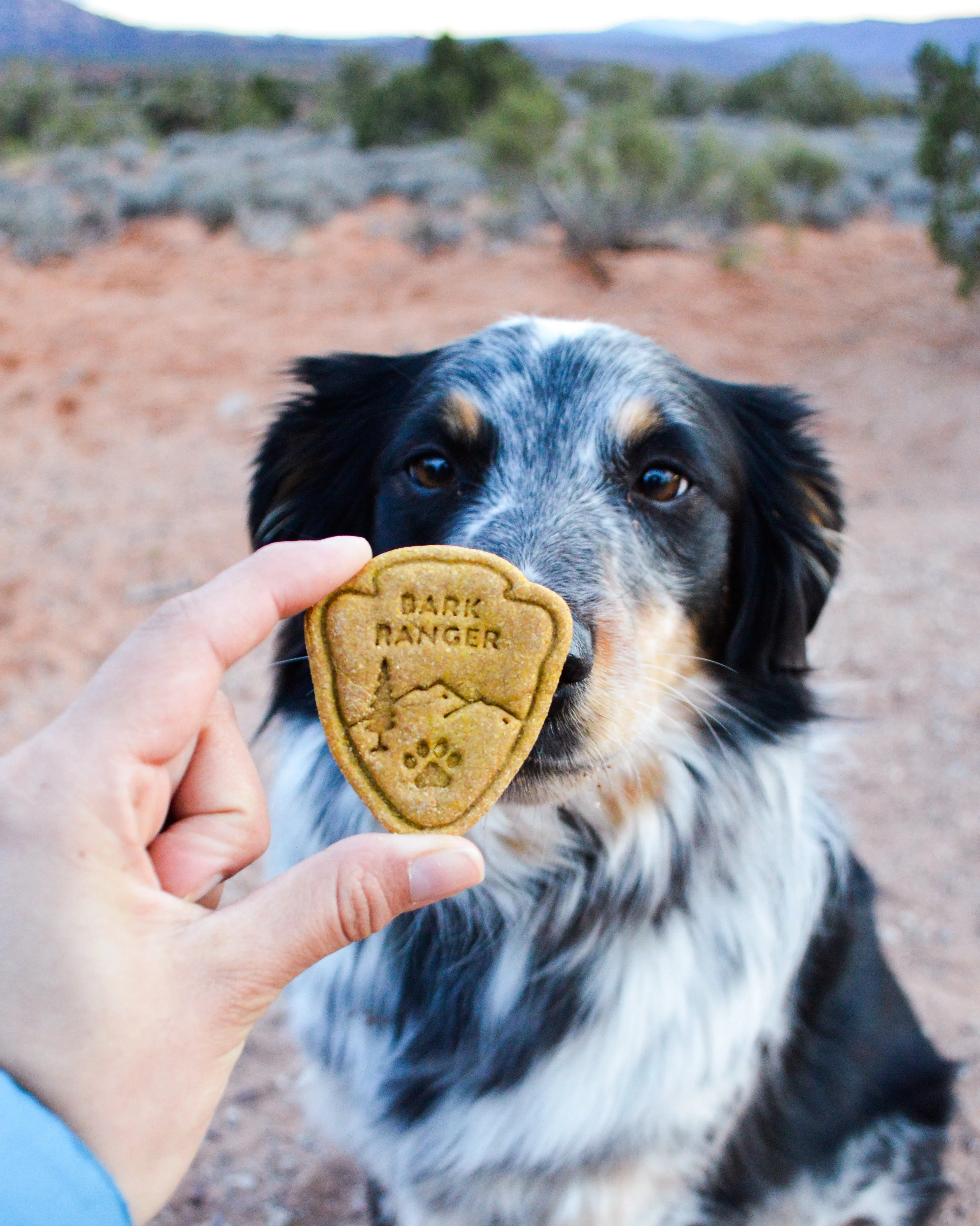 Arrowhead Park Sign "Bark Ranger" Dog Cookie Cutter