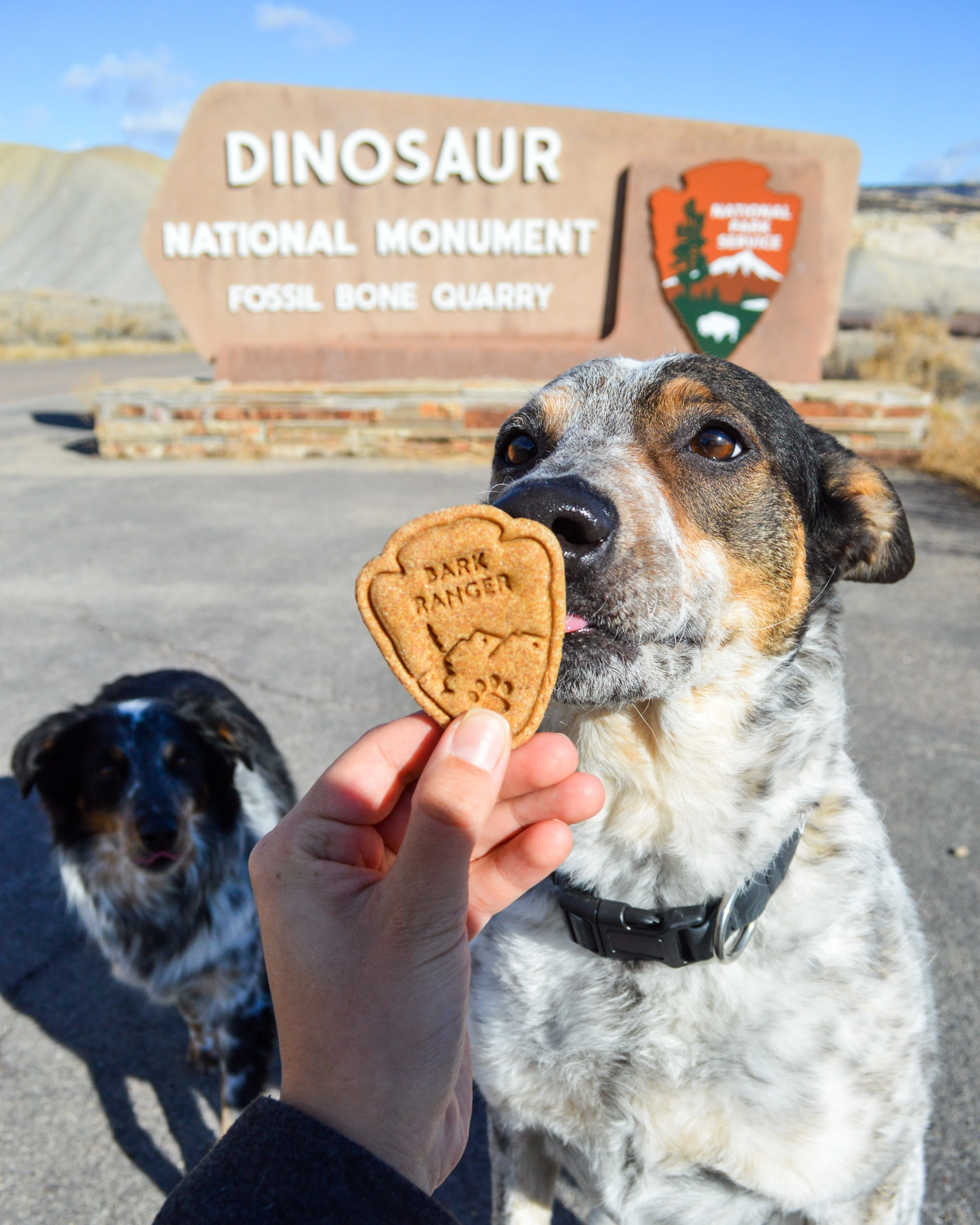 Arrowhead Park Sign "Bark Ranger" Dog Cookie Cutter