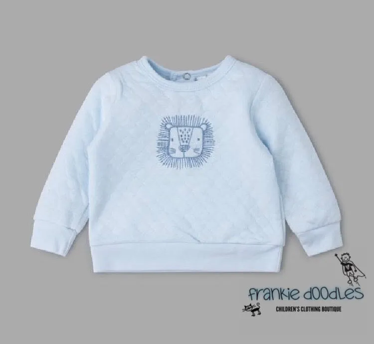 Baby Lion 3 Piece Set