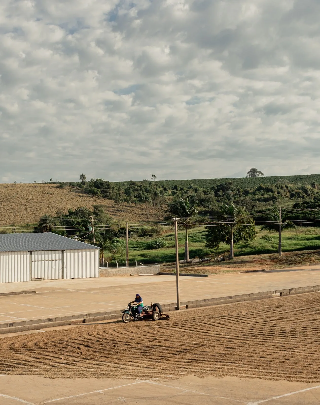 BRAZILIA FAZENDA SAO DOMINGO 250G