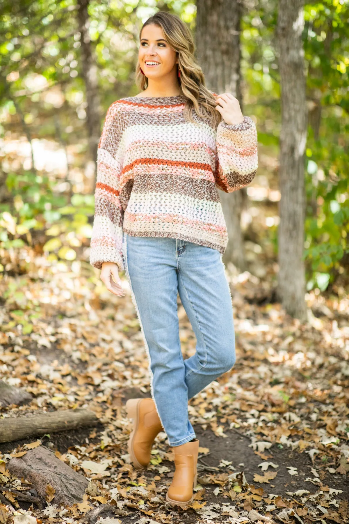 Brown Multicolor Heathered Stripe Sweater