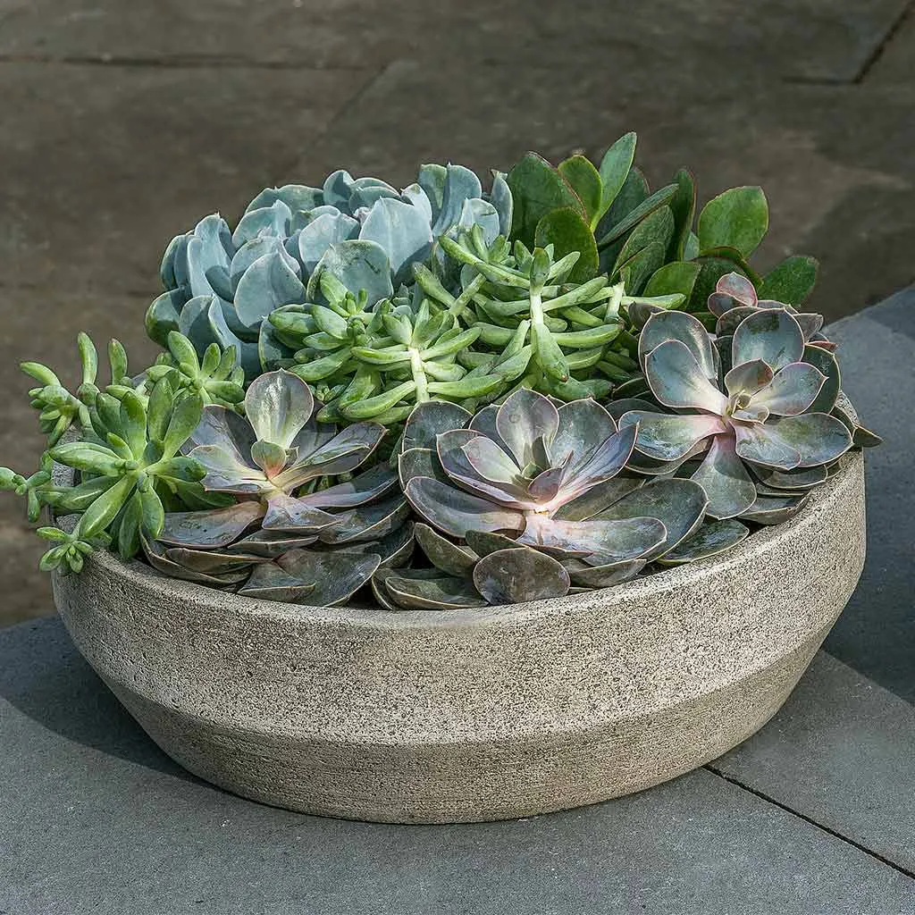 Campania Beveled Terrace Bowl