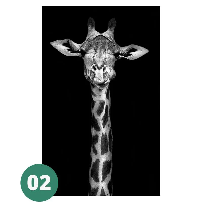 Canvas Print - Animal Portraits