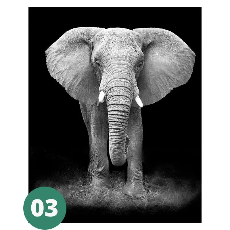 Canvas Print - Animal Portraits