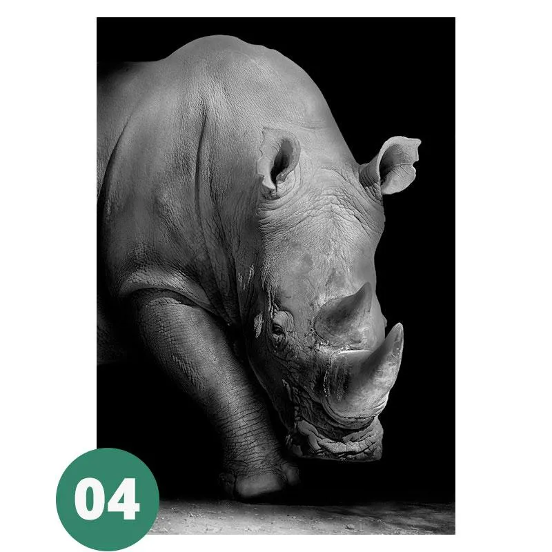 Canvas Print - Animal Portraits