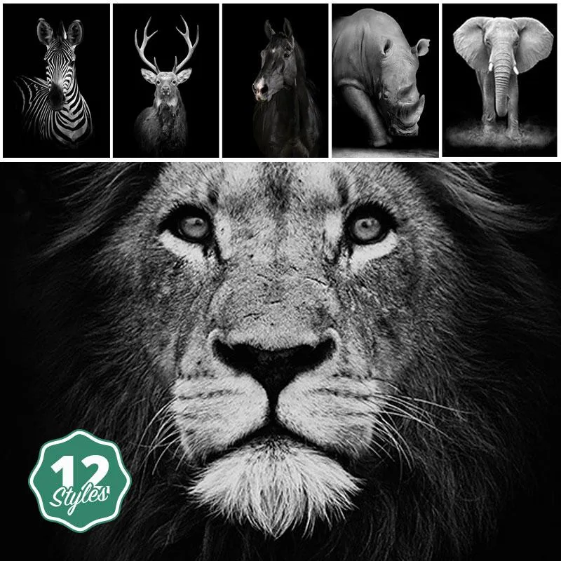 Canvas Print - Animal Portraits
