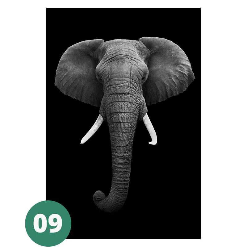 Canvas Print - Animal Portraits