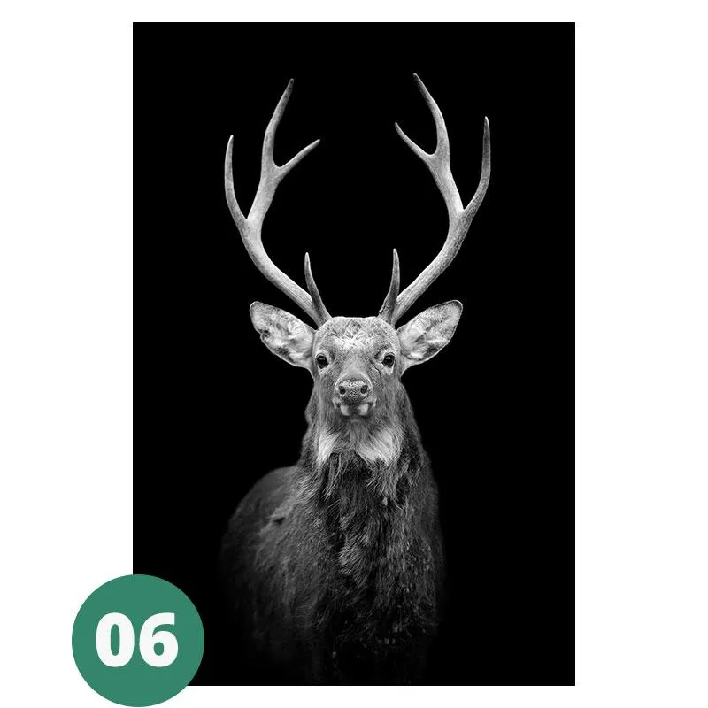 Canvas Print - Animal Portraits