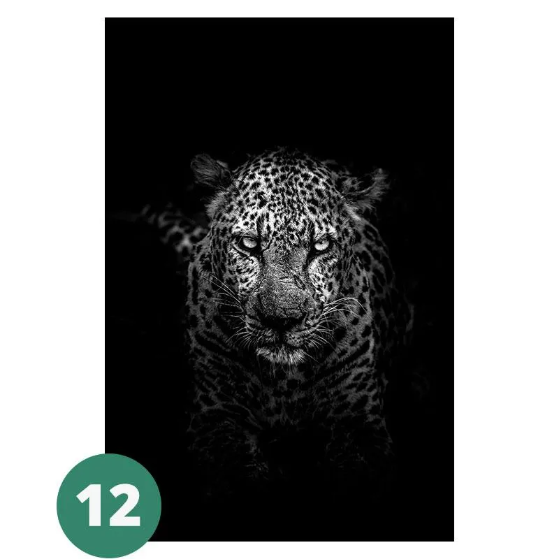 Canvas Print - Animal Portraits