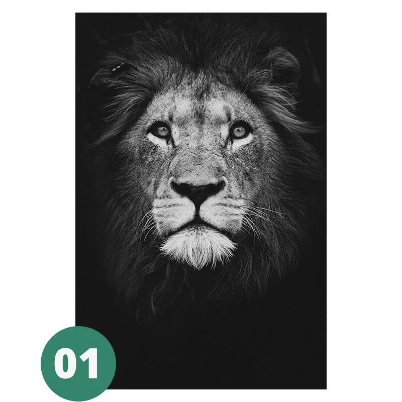 Canvas Print - Animal Portraits