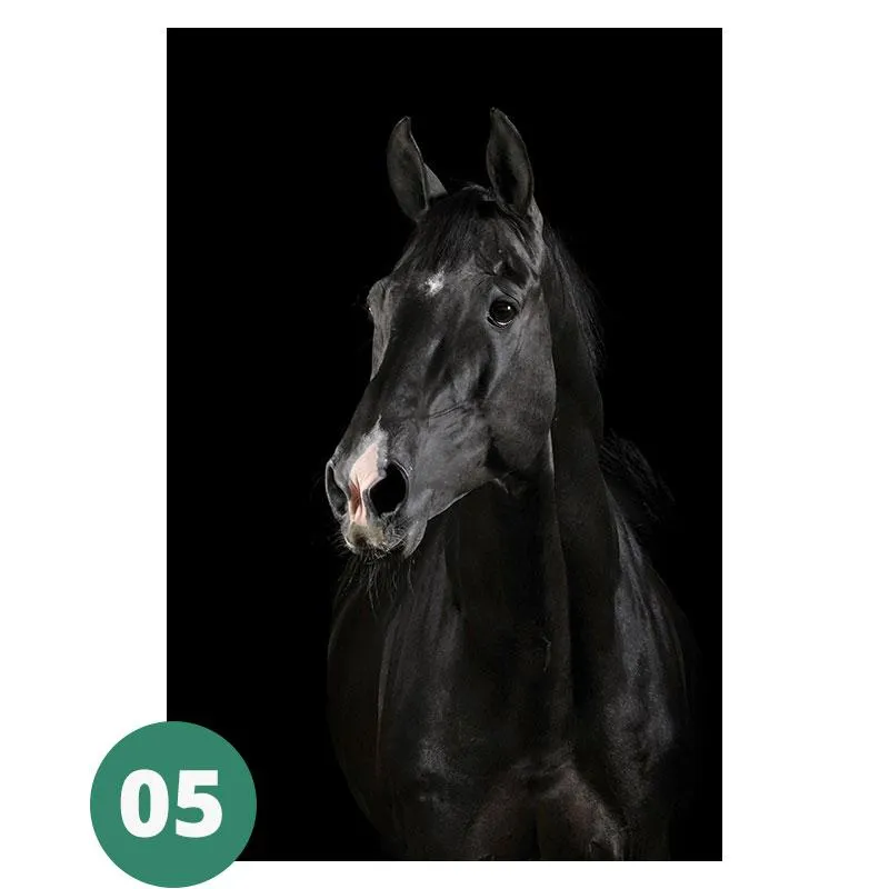 Canvas Print - Animal Portraits