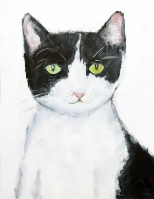 Cat & Bird Portraits