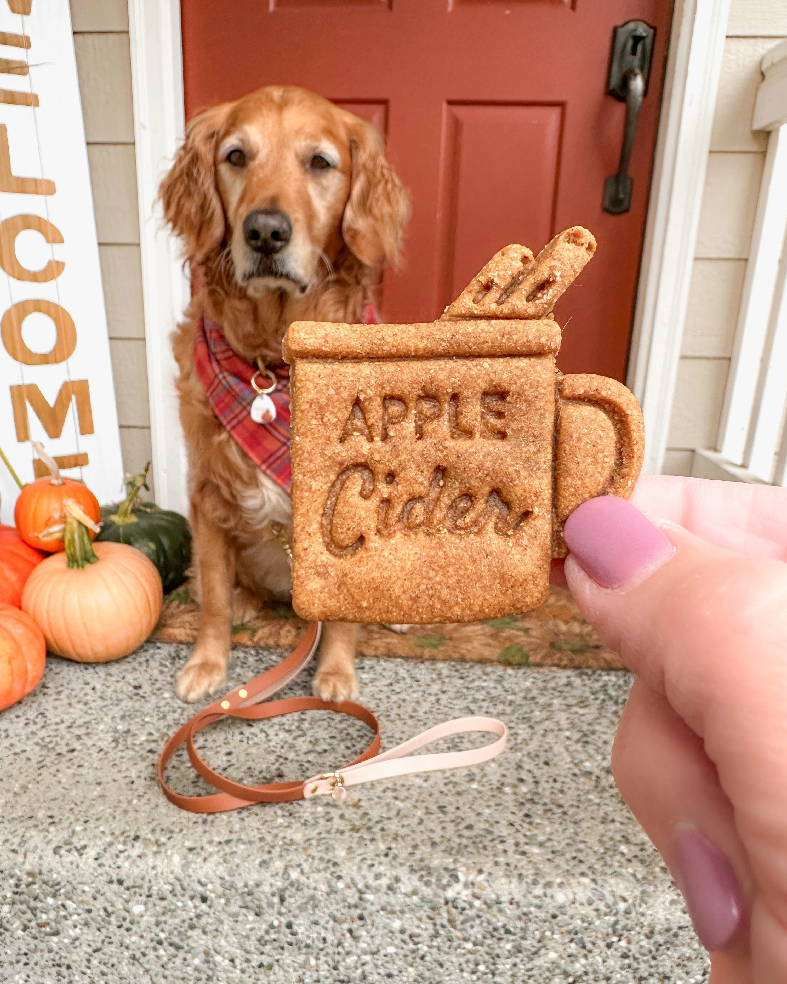 Cinnamon Hot Cocoa & Hot Apple Cider Mug Shape Cookie Cutter