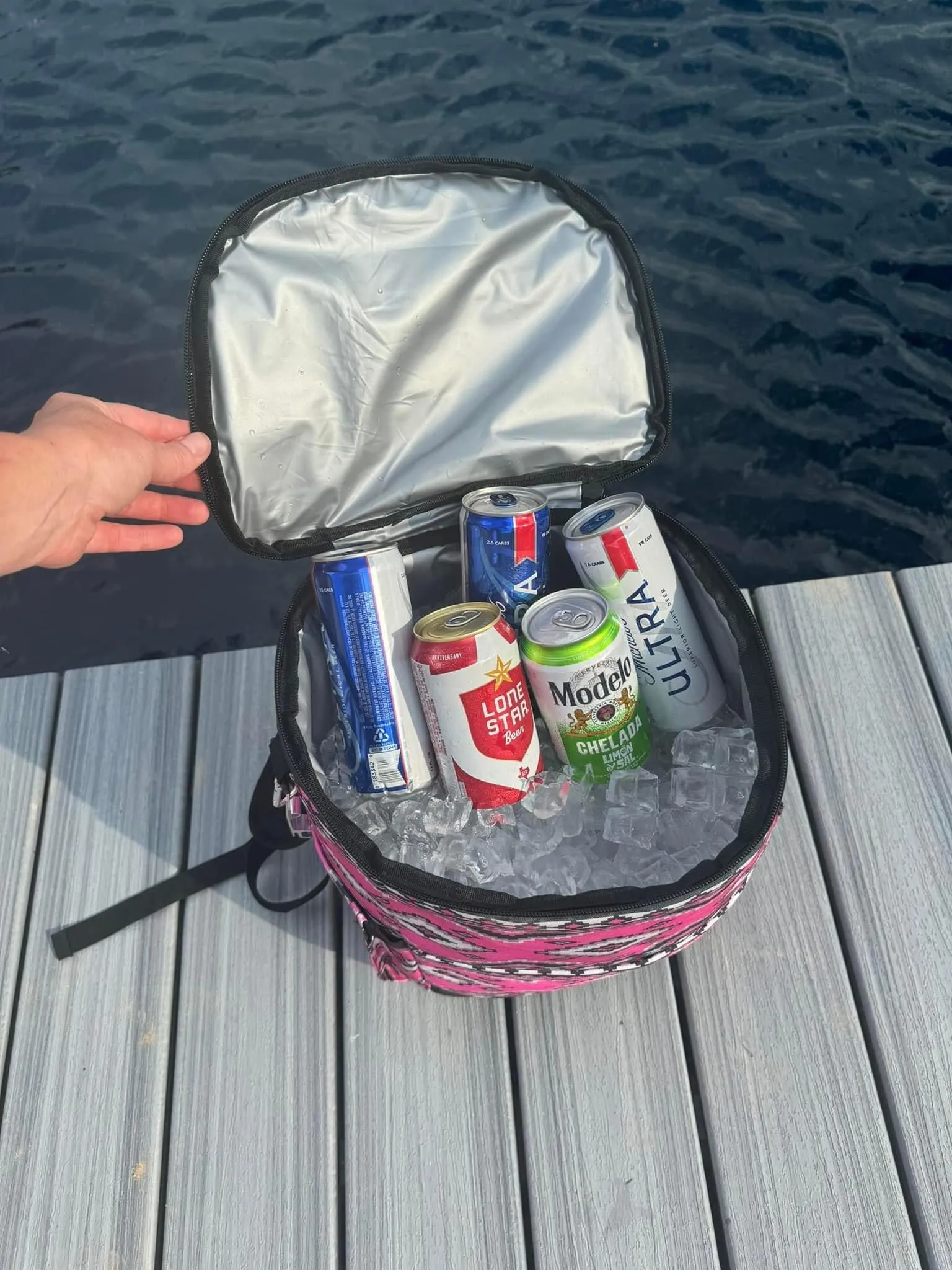 Cooler backpack