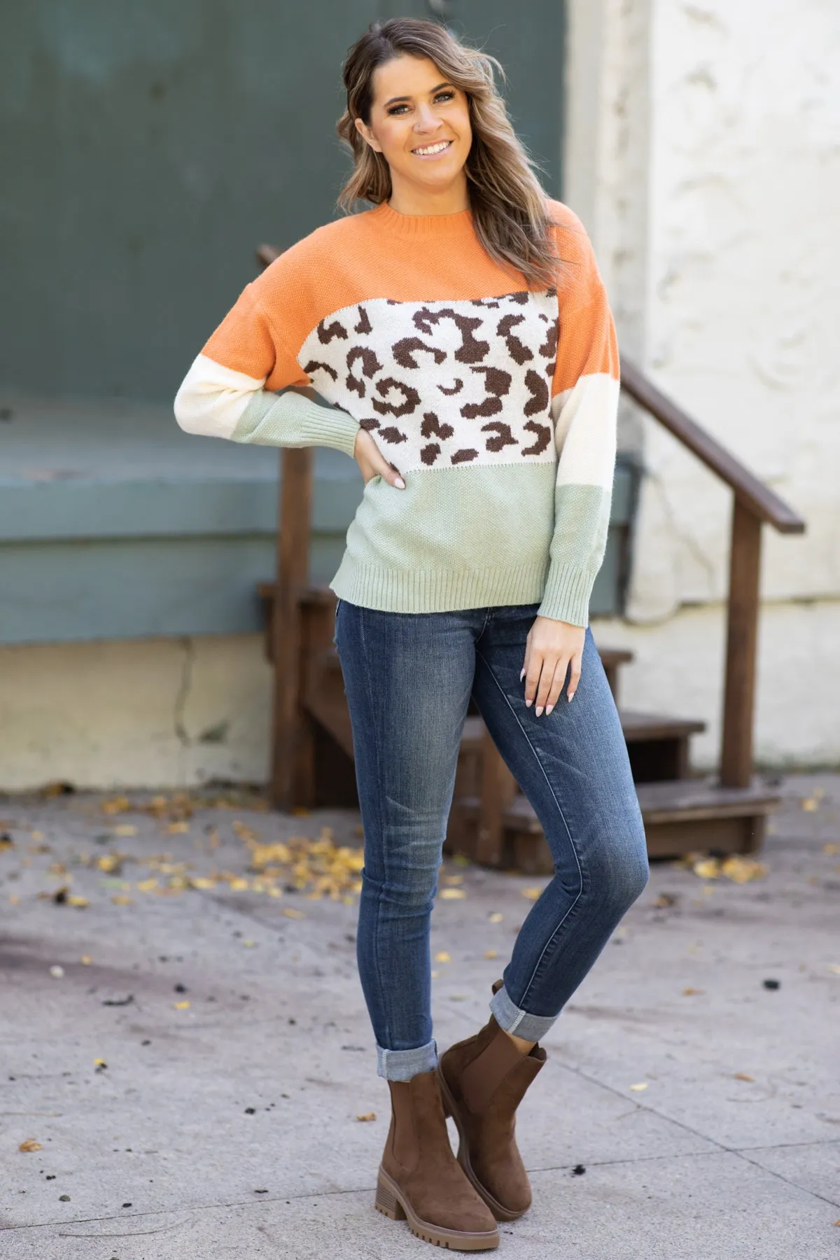 Cream Multicolor Animal Colorblock Sweater
