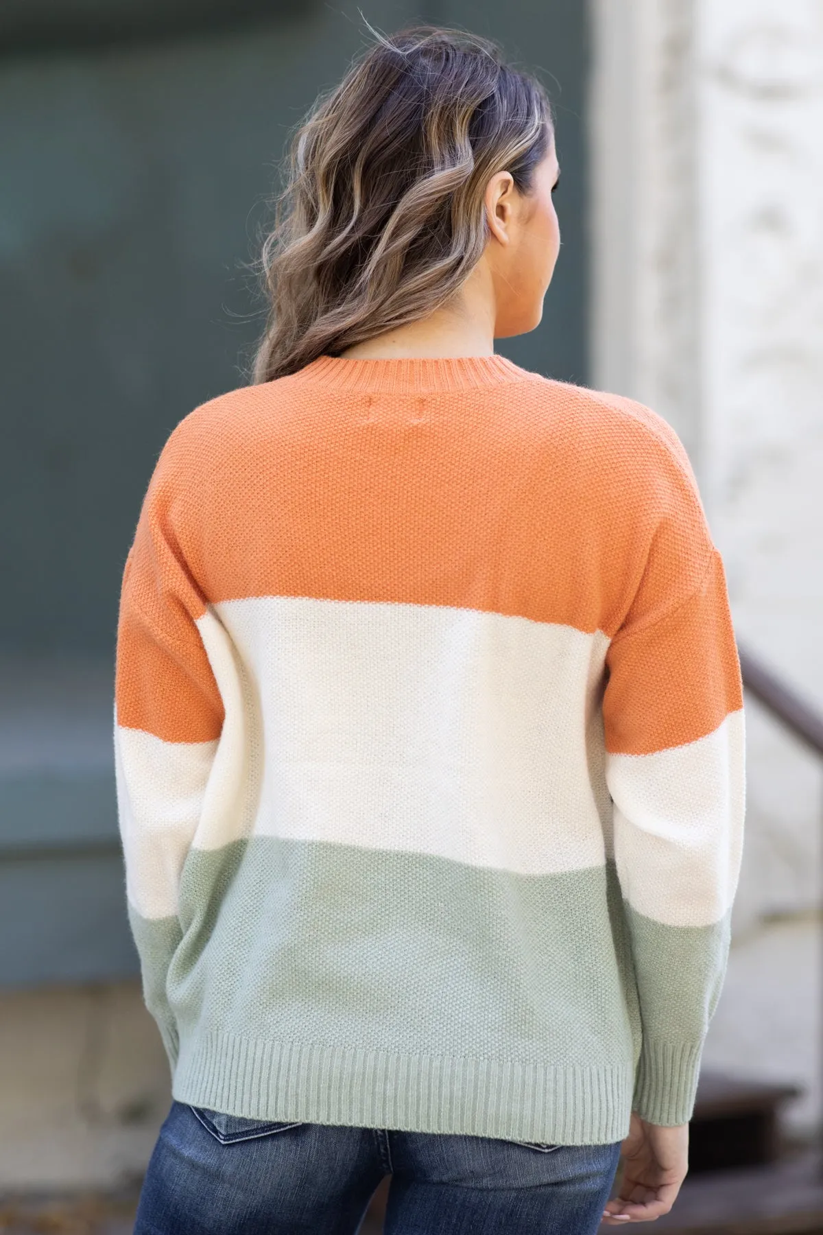 Cream Multicolor Animal Colorblock Sweater