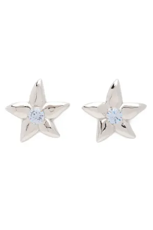 CRYSTAL CLEAR MEGA STARLINK EARRINGS