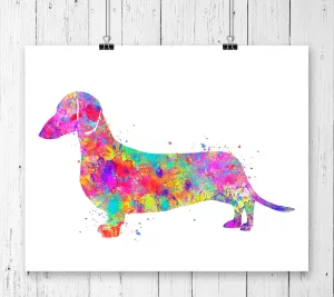 Dachsund Art Print - Unframed