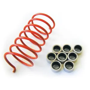 Dalton Clutch Kit Suzuki King Quad 750