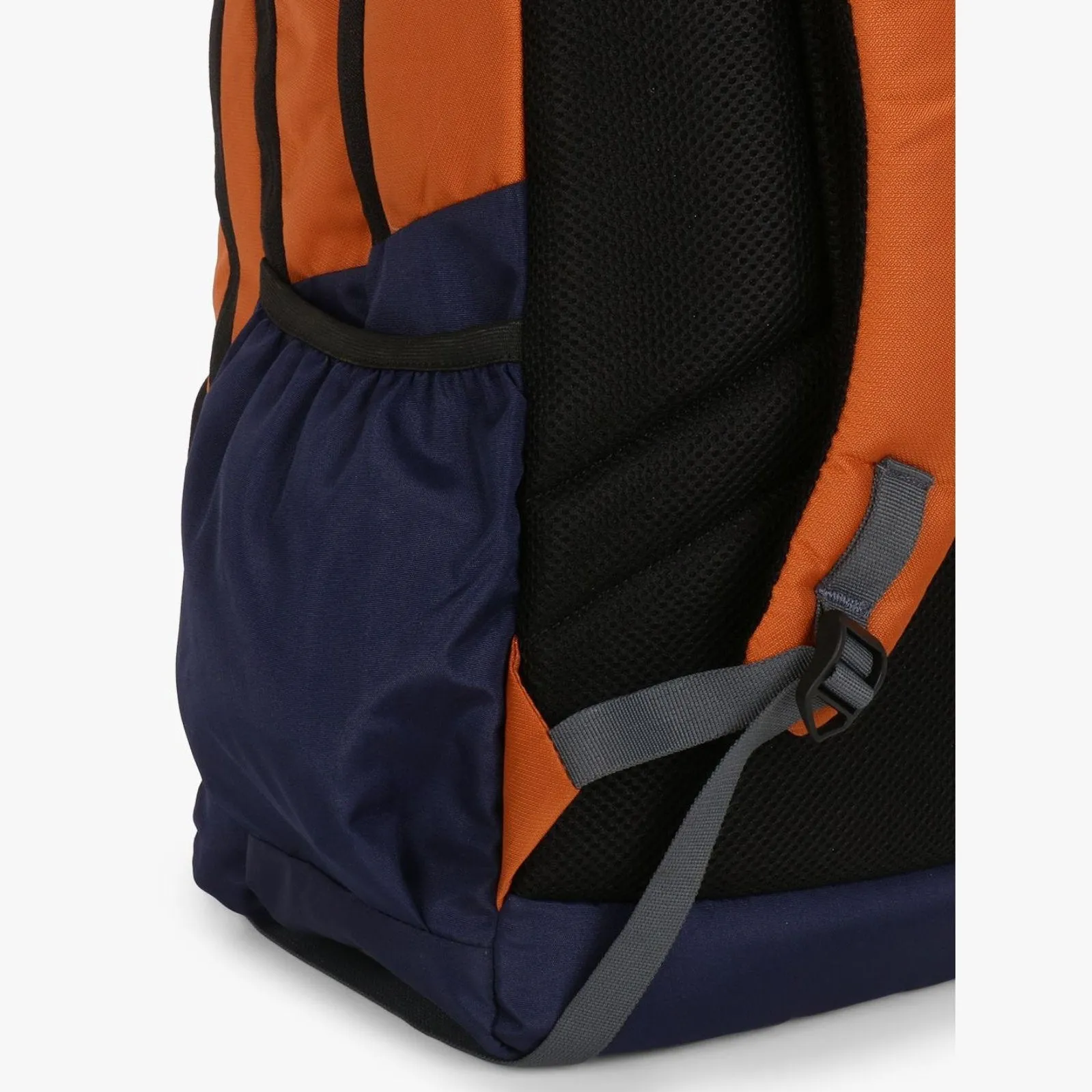 Dv Pro 4.21 Orange