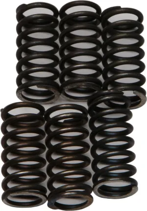 EBC CSK200 Redline Clutch Springs