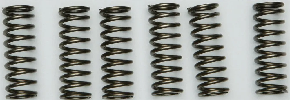 EBC CSK205 Redline Clutch Springs