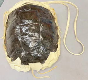 ES Large Turtle Bag