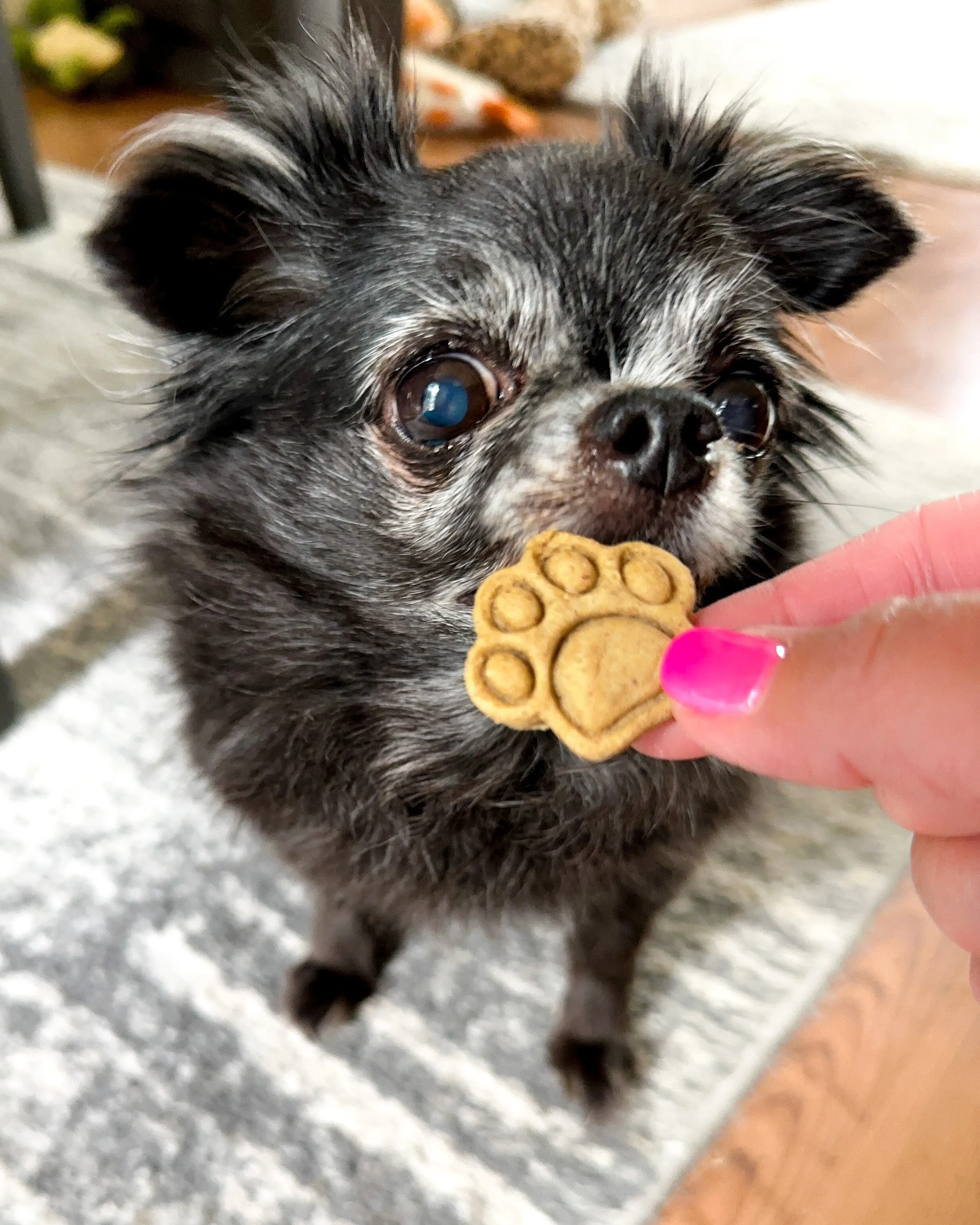 Extra Mini Paw Shaped Cookie Cutter