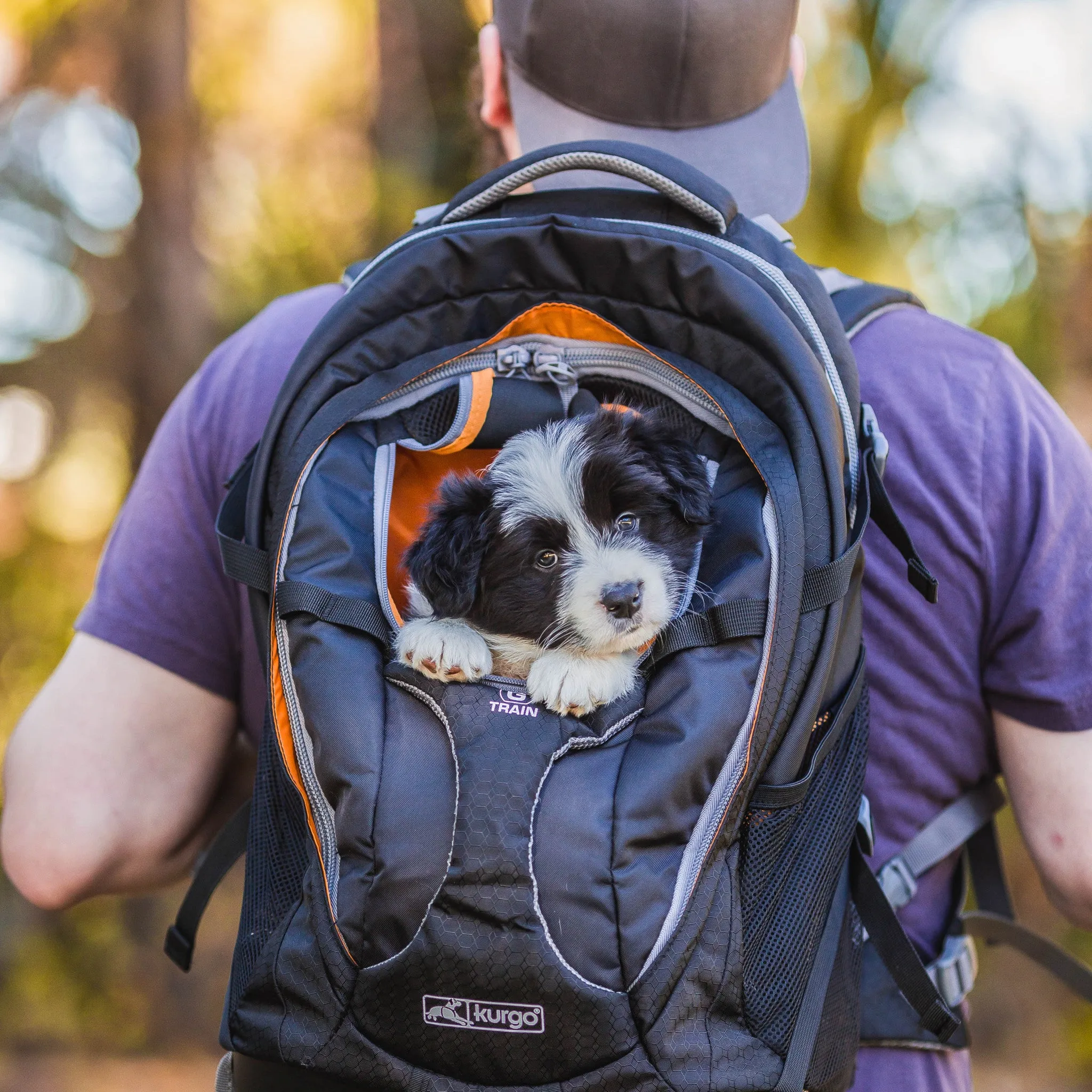 G-Train Dog Carrier Backpack