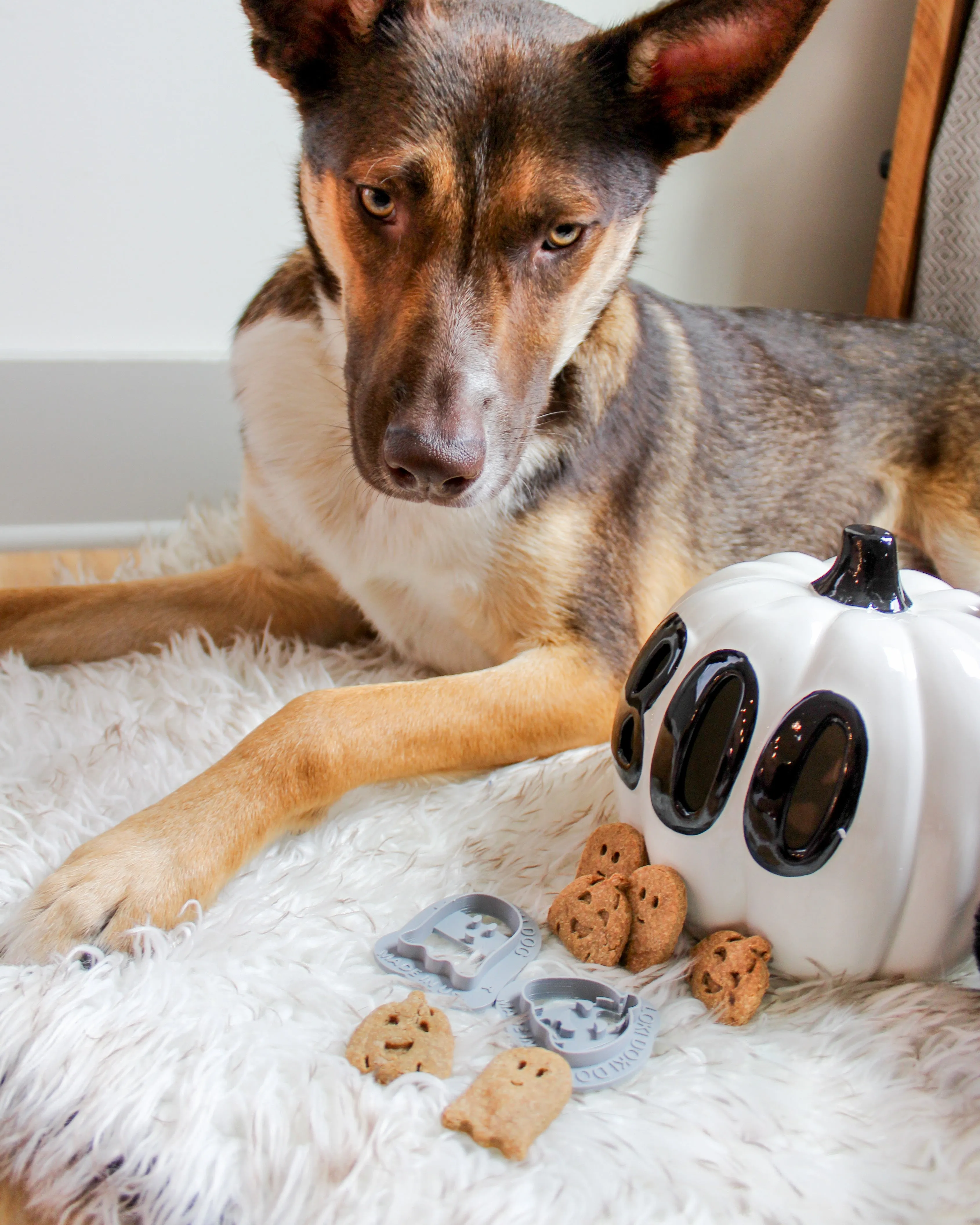 Ghost Shape Dog Biscuit Cookie Cutter (3 styles available)