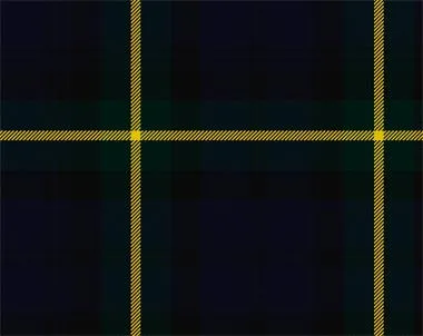 Gordon Modern Tartan Suspenders