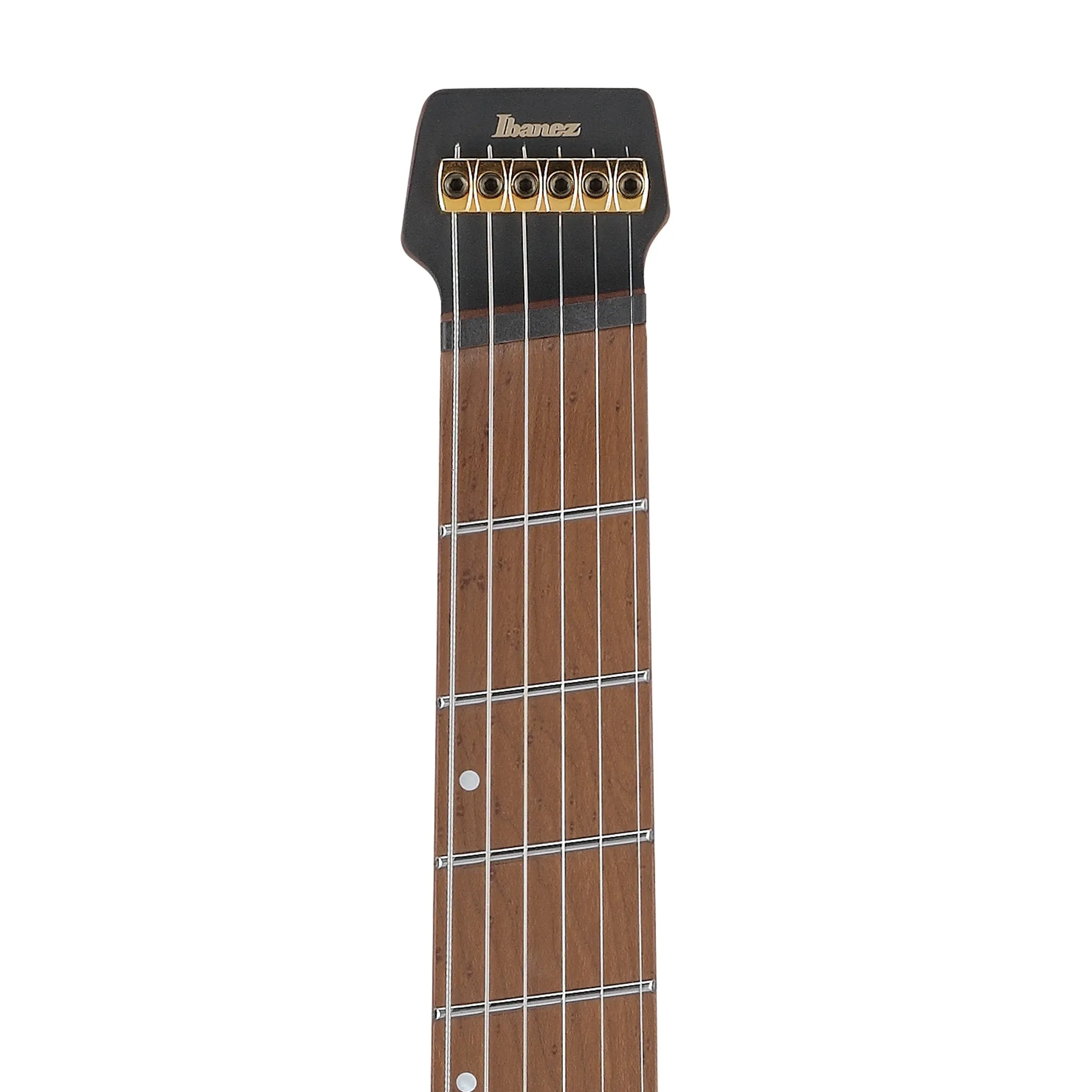 Ibanez MGFM10-OBL Manuel Gardner Fernandes Signature Electric Guitar w/Bag, Obsidian Black Low Gloss