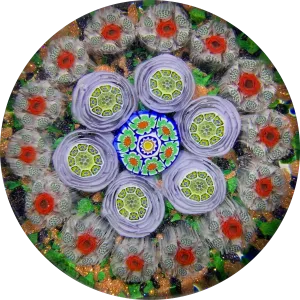 James Hart Complex Concentric Millefiori w/ Roses on Aventurine Ground Glass Art Paperweight