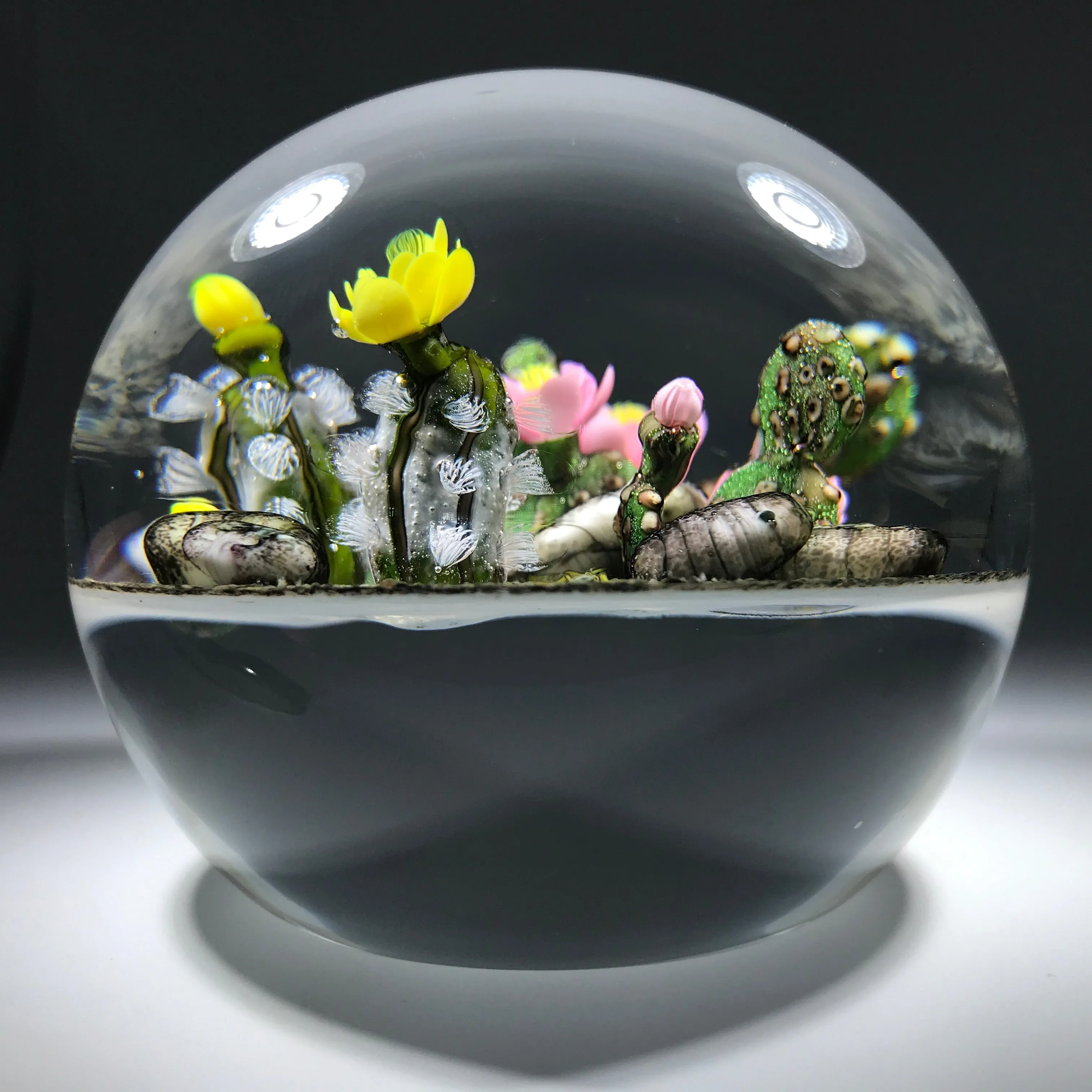 Ken Rosenfeld 2017 Art Glass Paperweight Lampwork Blooming Cacti Desert Scene