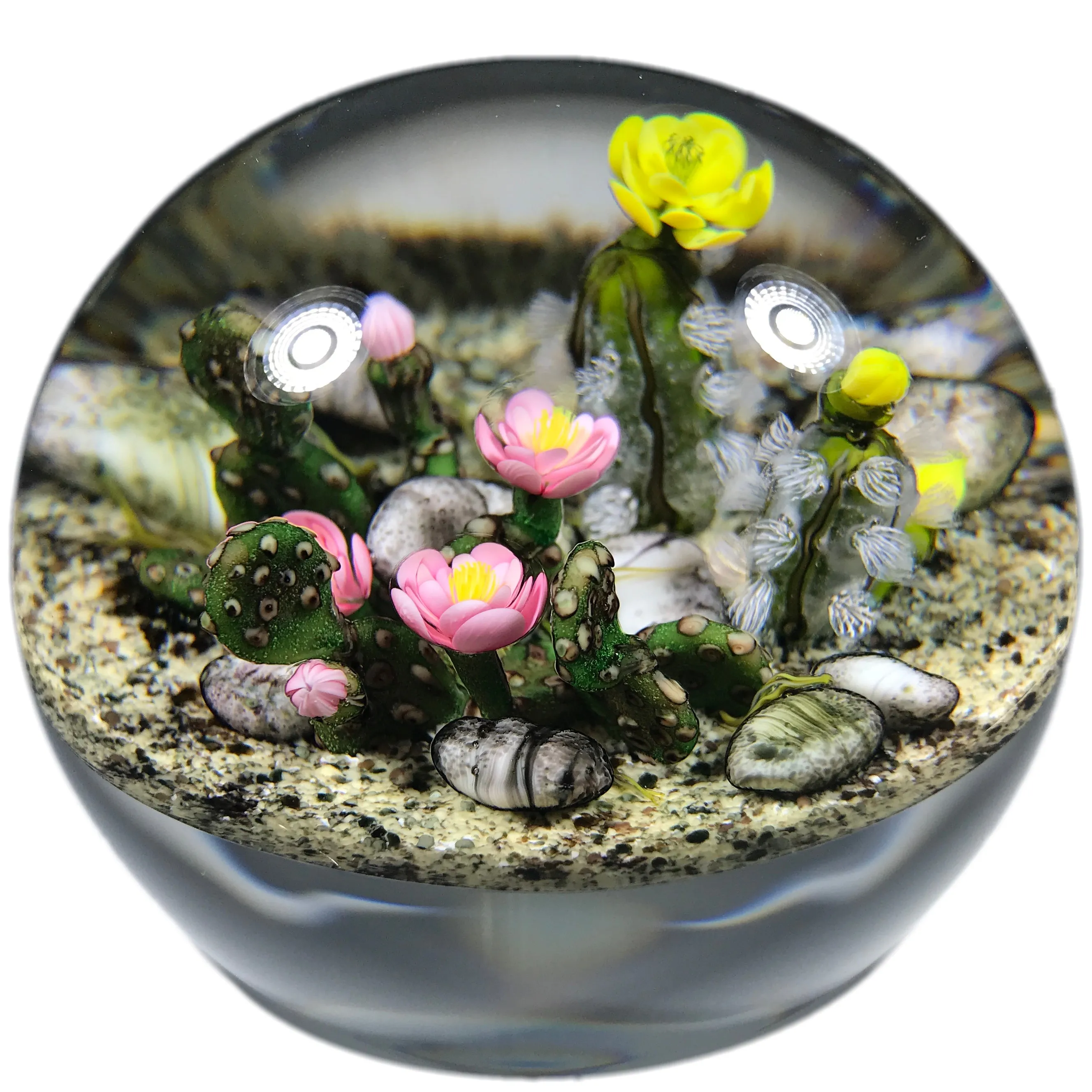 Ken Rosenfeld 2017 Art Glass Paperweight Lampwork Blooming Cacti Desert Scene