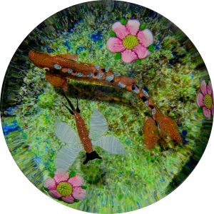 Limited Edition Caithness Scotland Compound Flamework "Trout and Mayfly" 4/100