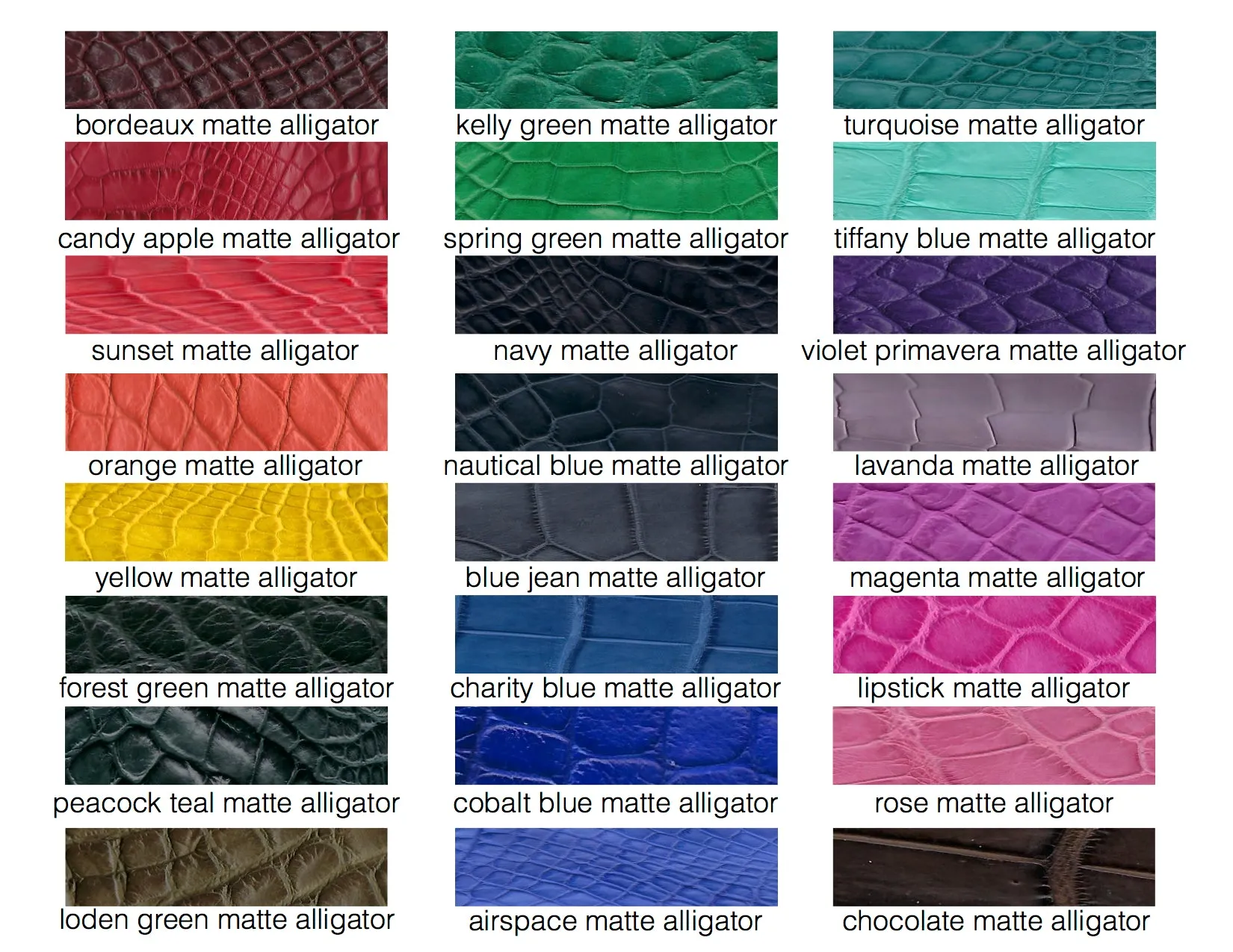 LOLA - ASSORTED COLORS