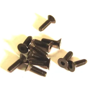 M3 x 10mm 3 x 10 Black Inner Hex Flat Socket Screw x 10