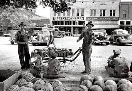 Melon Salesman and Fiddler