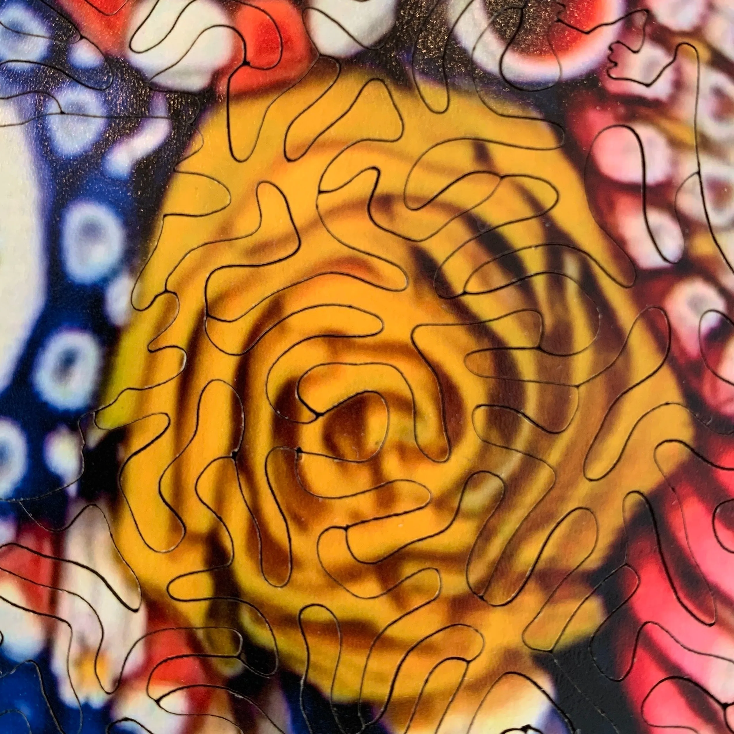 Michael Hunter 2019 Art Glass Paperweight & Matching Custom-Cut Wooden Jigsaw Puzzle Millefiori Closepack with Murrine & Silhouette Canes
