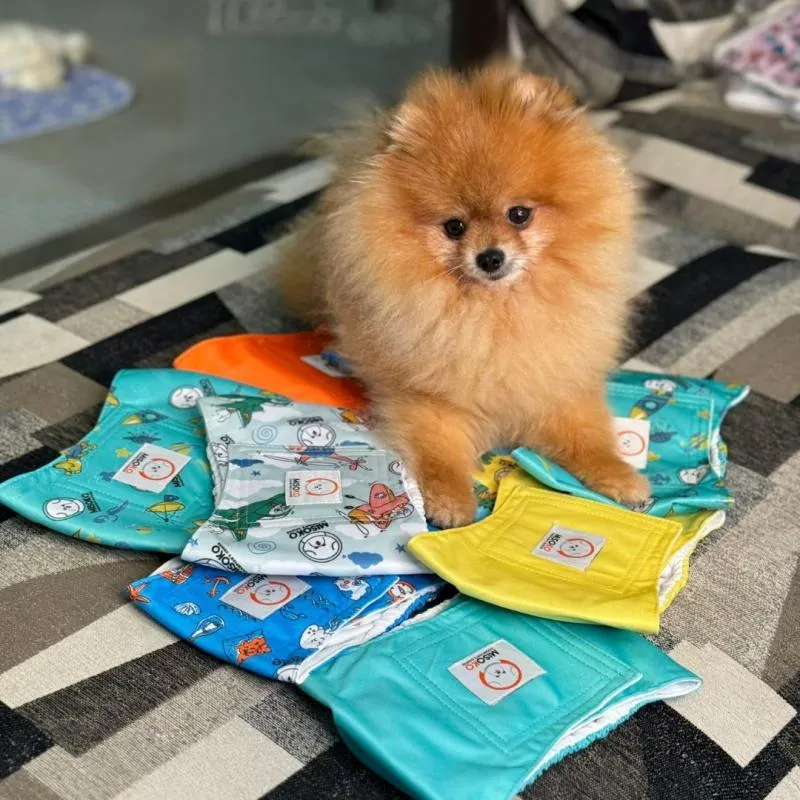 Misoko reusable diapers set for male dogs, Voyage, 3 pcs.