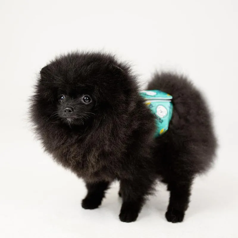 Misoko reusable diapers set for male dogs, Voyage, 3 pcs.