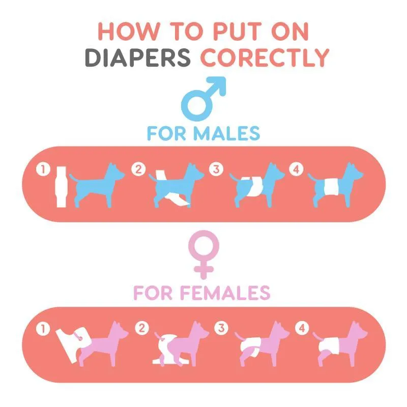Misoko reusable diapers set for male dogs, Voyage, 3 pcs.