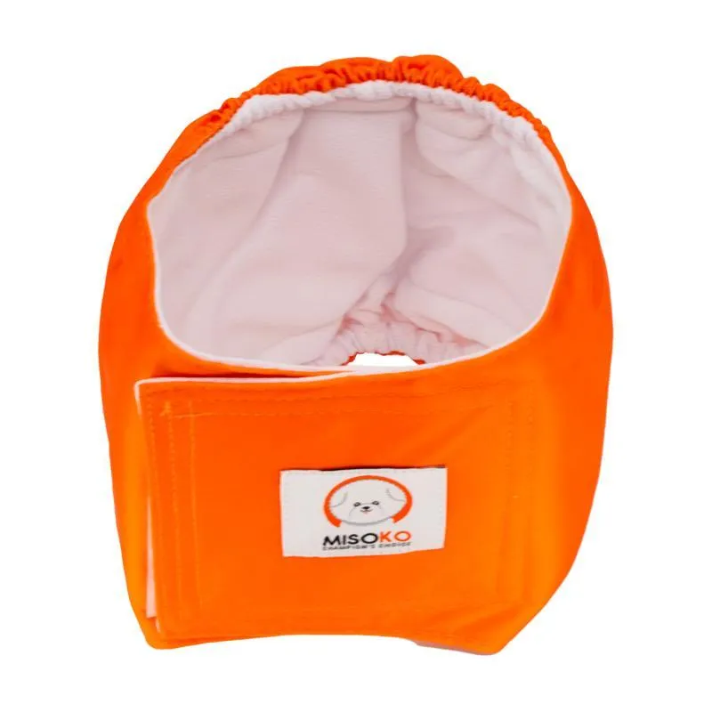 Misoko reusable diapers set for male dogs, Voyage, 3 pcs.