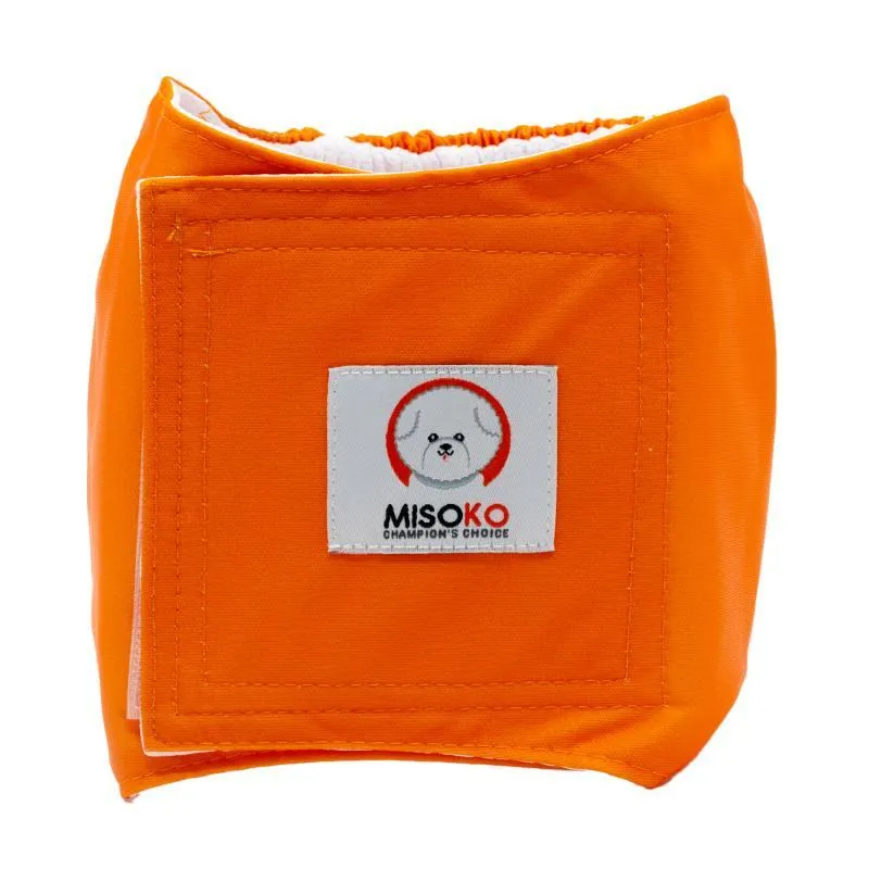 Misoko reusable diapers set for male dogs, Voyage, 3 pcs.